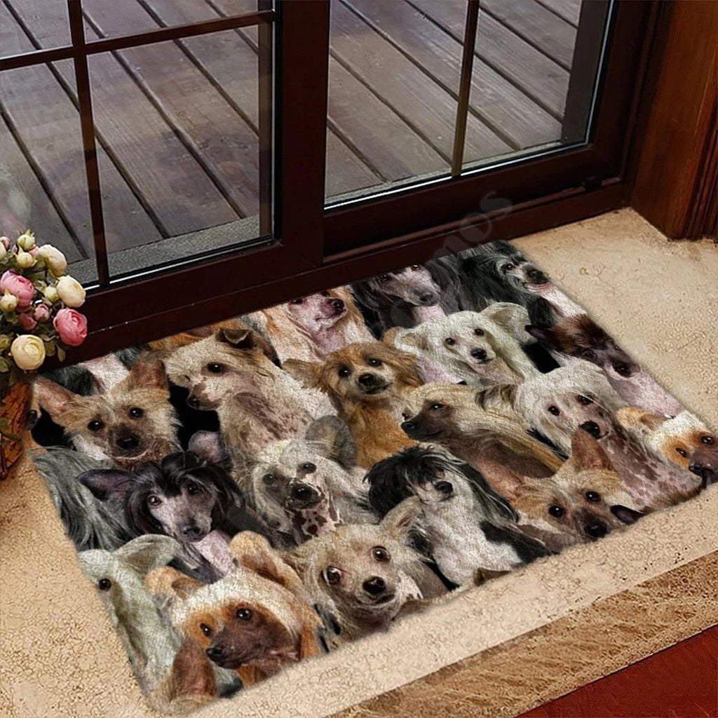 Hot Selling Product Home Door Mat Fashion 3D Digital Dog Printing Rectangular Mat Wholesale Customization