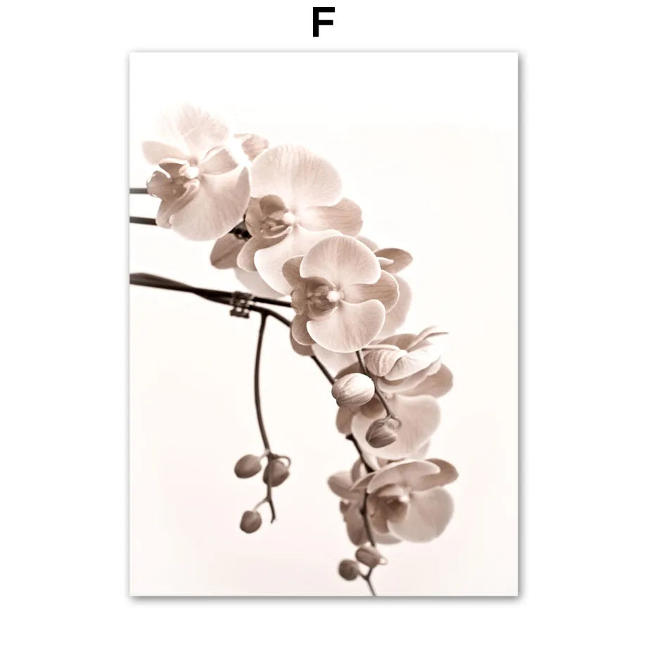 44237675659484|44237675692252|44237675725020|44237675757788|44237675790556|44237675823324|44237675856092|44237675888860|44237675921628|44237675954396|44237675987164