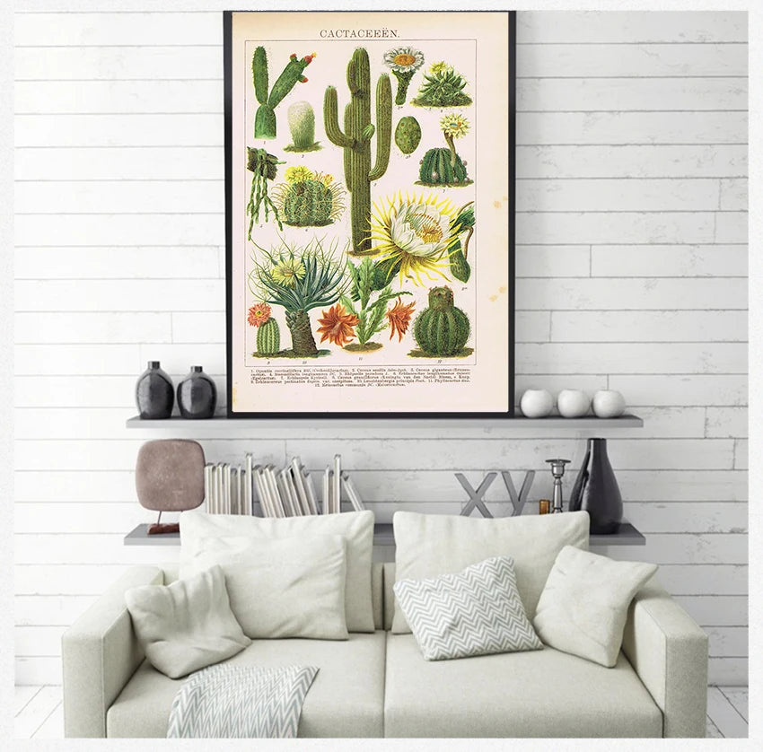 Prints Botanical Wall Art Canvas Painting Educational Wall Pictures Decor Cactus Flowers Desert Plants Succulents Posters and
