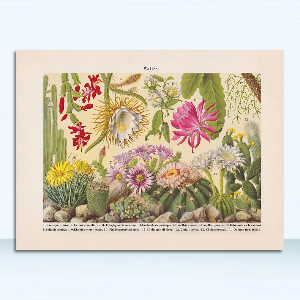 44237672120540|44237672153308|44237672186076|44237672218844|44237672251612|44237672284380|44237672317148|44237672349916|44237672382684