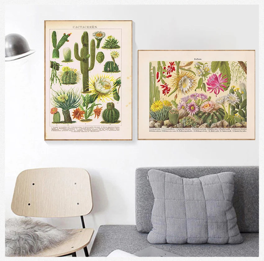 Prints Botanical Wall Art Canvas Painting Educational Wall Pictures Decor Cactus Flowers Desert Plants Succulents Posters and