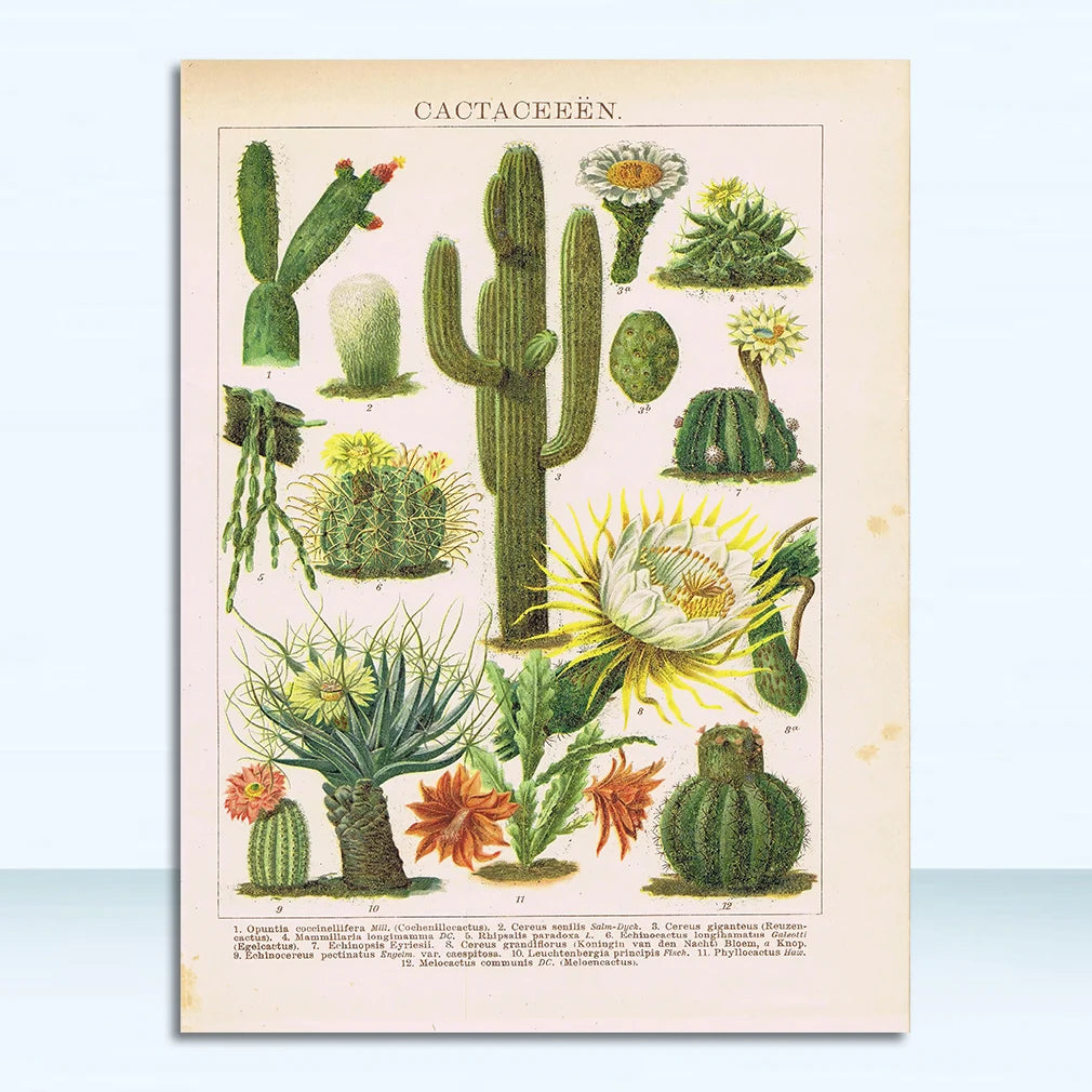 44237672415452|44237672448220|44237672480988|44237672513756|44237672546524|44237672579292|44237672612060|44237672644828|44237672677596